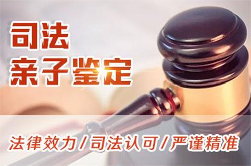 崇左司法亲子鉴定预约,